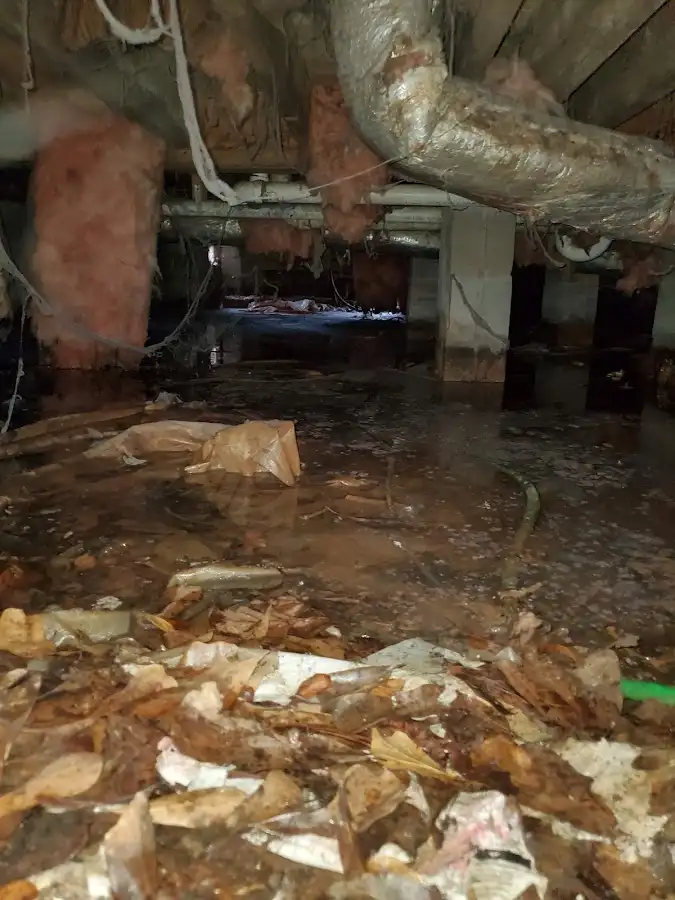 Crawl space flood assessment for Commercial Water Damage Restoration in Essex