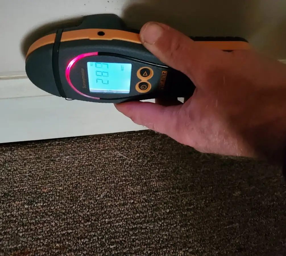 Moisture detection at baseboard during Burst Pipe Cleanup in Essex